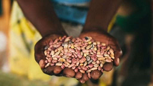 FAQs on Food Insecurity and Education