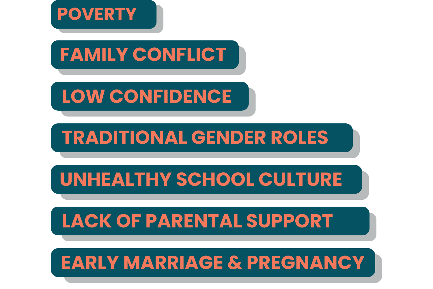TRADITIONAL GENDER ROLES (3)